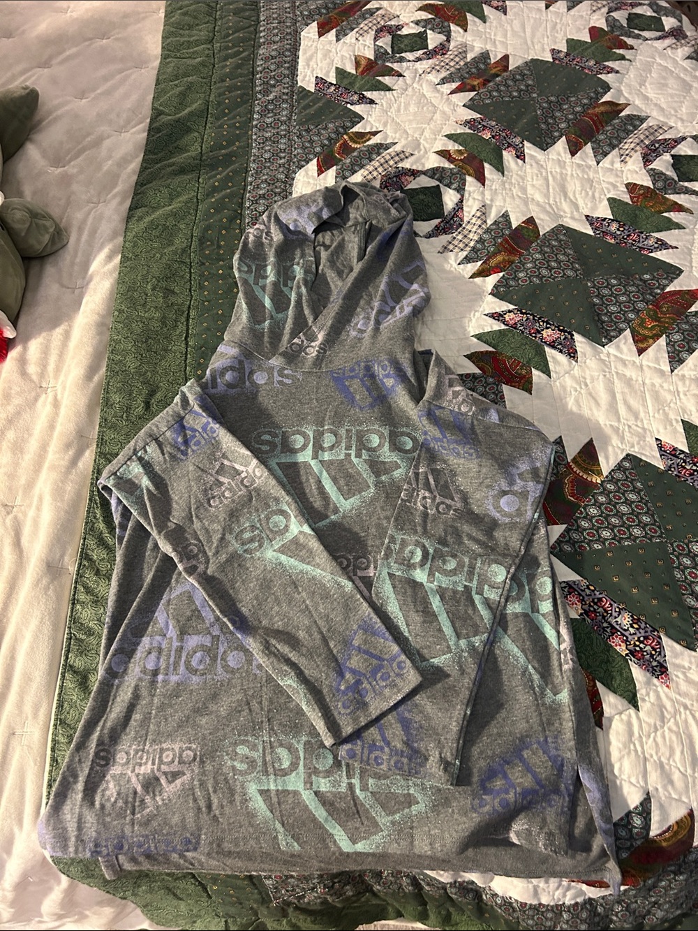 adidas Gray Hoodie with Aqua & Lavender Logos
